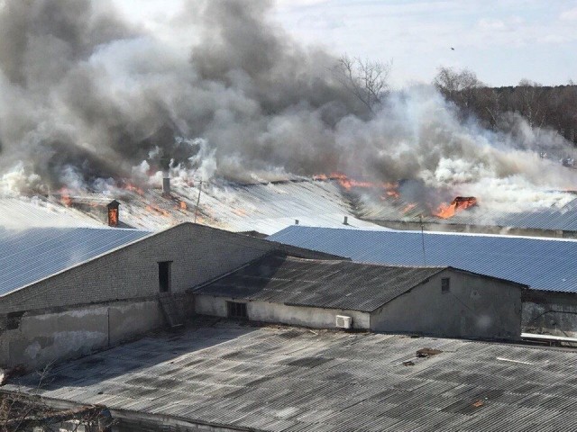 Более 150 человек эвакуировали пожарные из горящего здания кожевенного завода в Богородске Нижегородской области