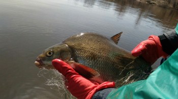 Рыбалку в Нижегородской области ограничат с 1 апреля
