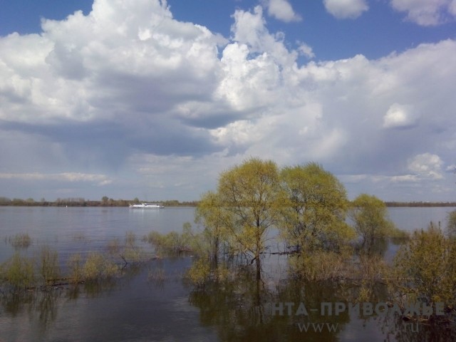Паромная переправа "Нижний Новгород- Бор" откроется после снижения уровня воды на реке