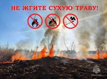Шесть возгораний сухостоя зафиксировано в Ульяновской области за сутки