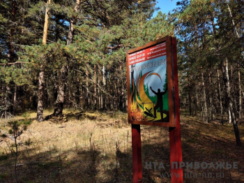 Акция &quot;Останови огонь!&quot; стартовала в лесах Нижегородской области