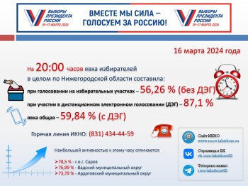 Явка избирателей в Нижегородской области к 20:00 16 марта составила 59,84%