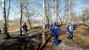 Более 700 человек приняли участие в экологическом мероприятии Ленинского района Чебоксар