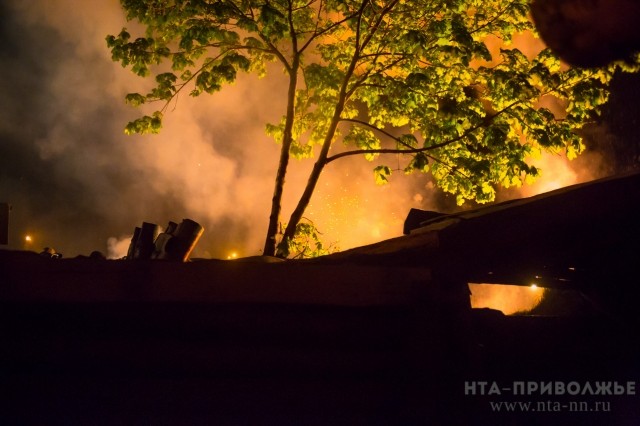Высокая пожароопасность лесов и торфянников прогнозируется в Нижегородской области 26-29 мая