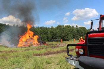 Пожароопасный сезон в лесах Нижегородской области начнется 17 апреля