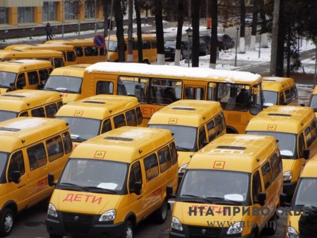 Почти 40 млн. рублей планируется выделить из облбюджета на закупку 45 школьных автобусов для районов Нижегородской области