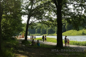 Единого оператора городских парков создадут в Ульяновске
