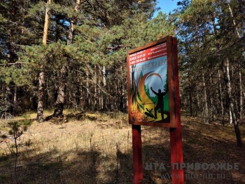 Пожароопасный режим ввели в Ульяновской области