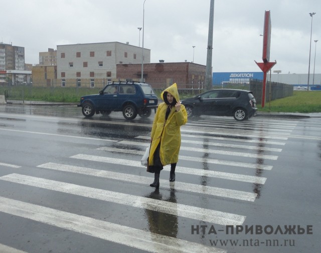 Сильные дожди и порывы ветра до 18 м/с ожидаются в Нижегородской области в ближайшие часы