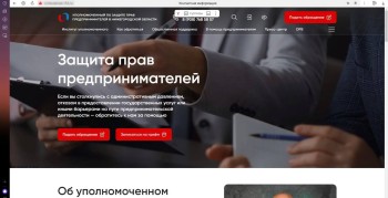 Новый сайт бизнес-омбудсмена запустят в Нижегородской области