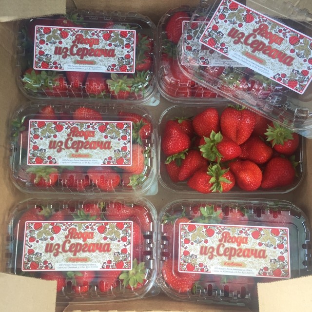 Первые поставки клубники с уникального производства ягод в Сергаче поступили в Нижний Новгород.